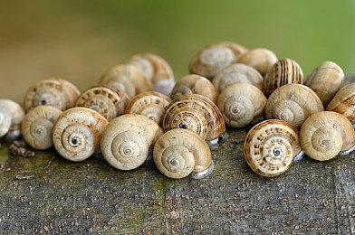 前TGA评委：别太把TGA年度大奖当回事 那就是扯淡的